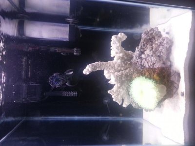 20131007_180124 (1).jpg