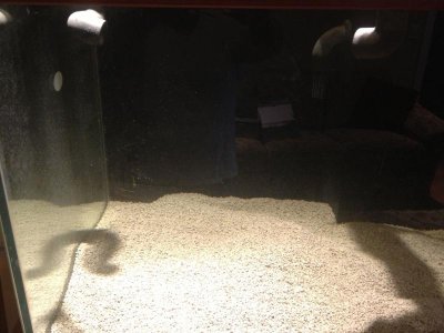 IMG_2572.jpg