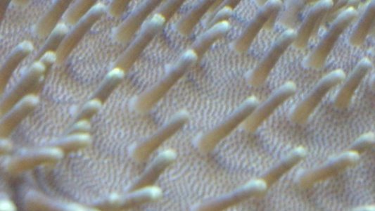 leather1.jpg