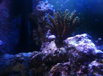 IMG_0699.jpg