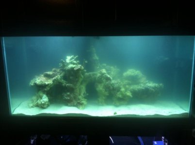 IMG_0387.jpg