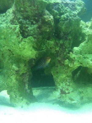IMG_0419.jpg