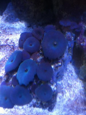 IMG_0869.jpg