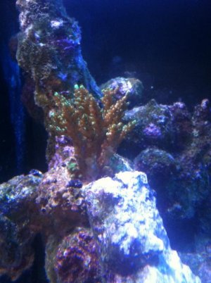 IMG_0874.jpg