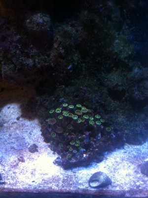IMG_0875.jpg