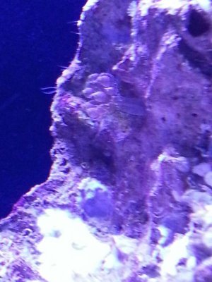 20130911_205358_resized.jpg