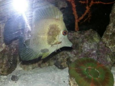 uploadfromtaptalk1381374415546.jpg uploadfromtaptalk1381374415546.jpg