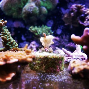 IMG_20130919_190004.jpg