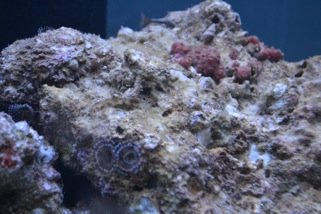 DSC_0164.jpeg