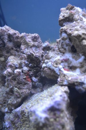 DSC_0160.jpeg