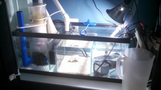 2013-09-22 19.17.01.jpg