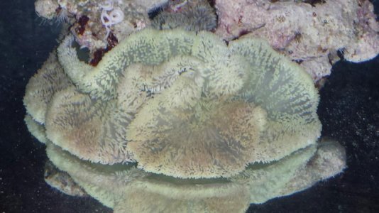 Green Gig Carpet - Day 2 (09_19_13).jpg