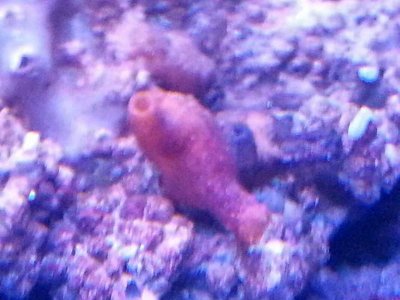 20131003_190556_resize_20131009_171116.jpg