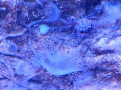 20131003_190630_resize_20131009_171035.jpg