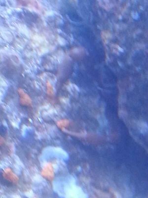 20131005_102104_resize_20131009_170943.jpg