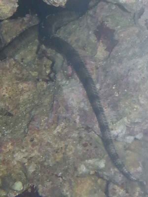 20131005_140729_resize_20131009_170726.jpg