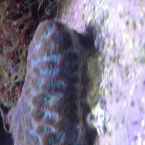 IMG_0573.jpg