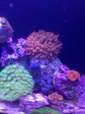 image-136274279.jpg image-136274279.jpg