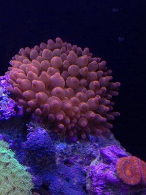 image-1731188746.jpg image-1731188746.jpg