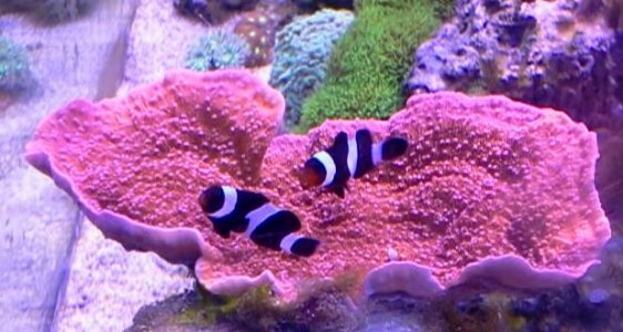 2012-12-09 17.22.57.jpg