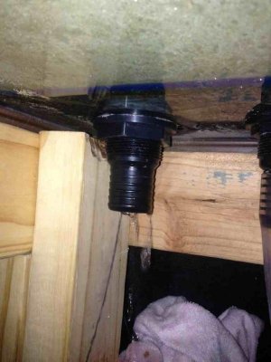 ImageUploadedByTapatalk1379890776.479020.jpg ImageUploadedByTapatalk1379890776.479020.jpg