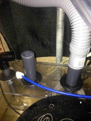 ImageUploadedByTapatalk1379890825.057312.jpg ImageUploadedByTapatalk1379890825.057312.jpg