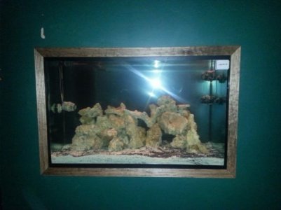 Finished with rock.jpg