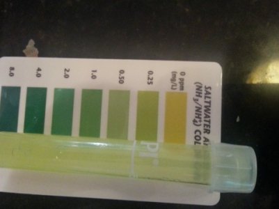 2013-10-13 08.39.52b.jpg