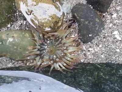 20130922_133243.jpg