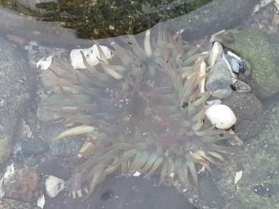 20130922_133137.jpg