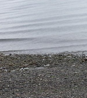 20130922_131931.jpg