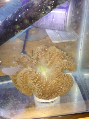 IMG_0403.jpg IMG_0403.jpg