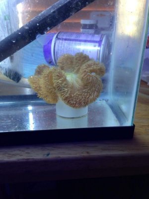 IMG_0404.jpg IMG_0404.jpg