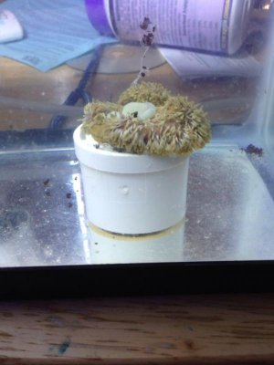 IMG_0405.jpg IMG_0405.jpg