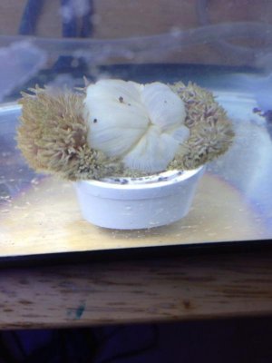 IMG_0407.jpg IMG_0407.jpg