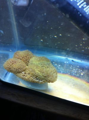 IMG_0409.jpg IMG_0409.jpg