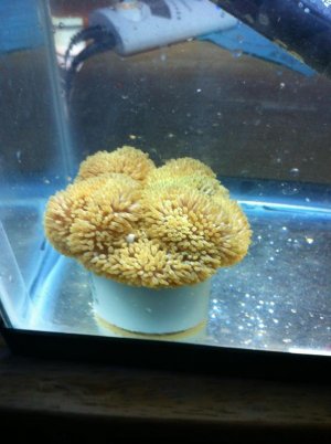 IMG_0411.jpg IMG_0411.jpg