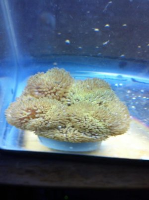 IMG_0410.jpg IMG_0410.jpg