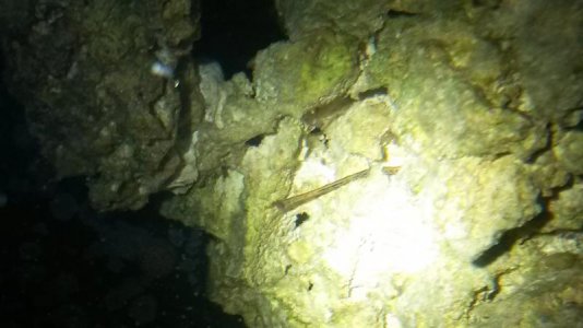 20131013_213304.jpg