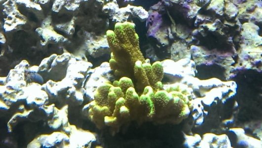 2013-09-24 18.26.11.jpg