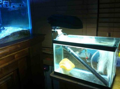 ImageUploadedByTapatalk1380079811.892242.jpg ImageUploadedByTapatalk1380079811.892242.jpg