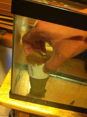 ImageUploadedByTapatalk1380079866.888726.jpg ImageUploadedByTapatalk1380079866.888726.jpg