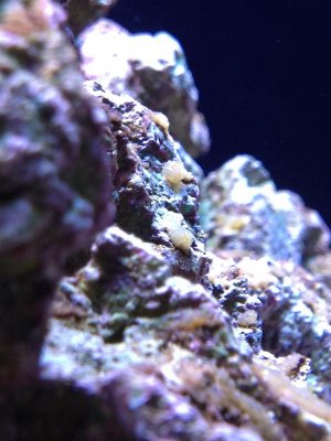 IMG_0826.jpg