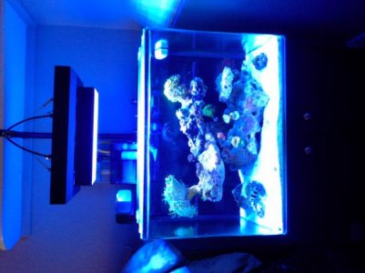 20130925_134651.jpg
