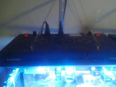 1376484_10202009057218516_1514028305_n.jpg