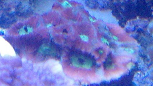 IMG_20130925_200127_302.jpg