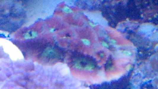 IMG_20130925_200157_906.jpg