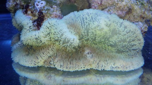 Green Gig Carpet 2 - Day 7 (09_25_13).jpg