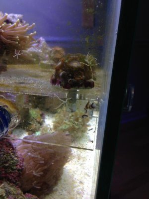 2013-10-15 20.30.44.jpg