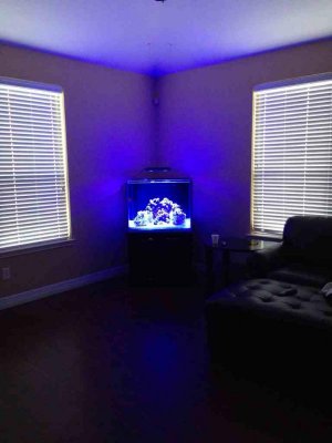 ImageUploadedByTapatalk1381897022.050975.jpg ImageUploadedByTapatalk1381897022.050975.jpg